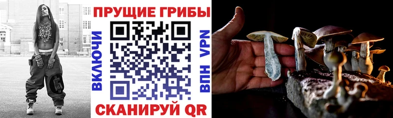Псилоцибиновые грибы MAGIC MUSHROOMS Калач-на-Дону