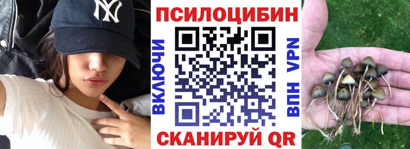 mega как зайти  Калач-на-Дону  Галлюциногенные грибы Psilocybine cubensis 